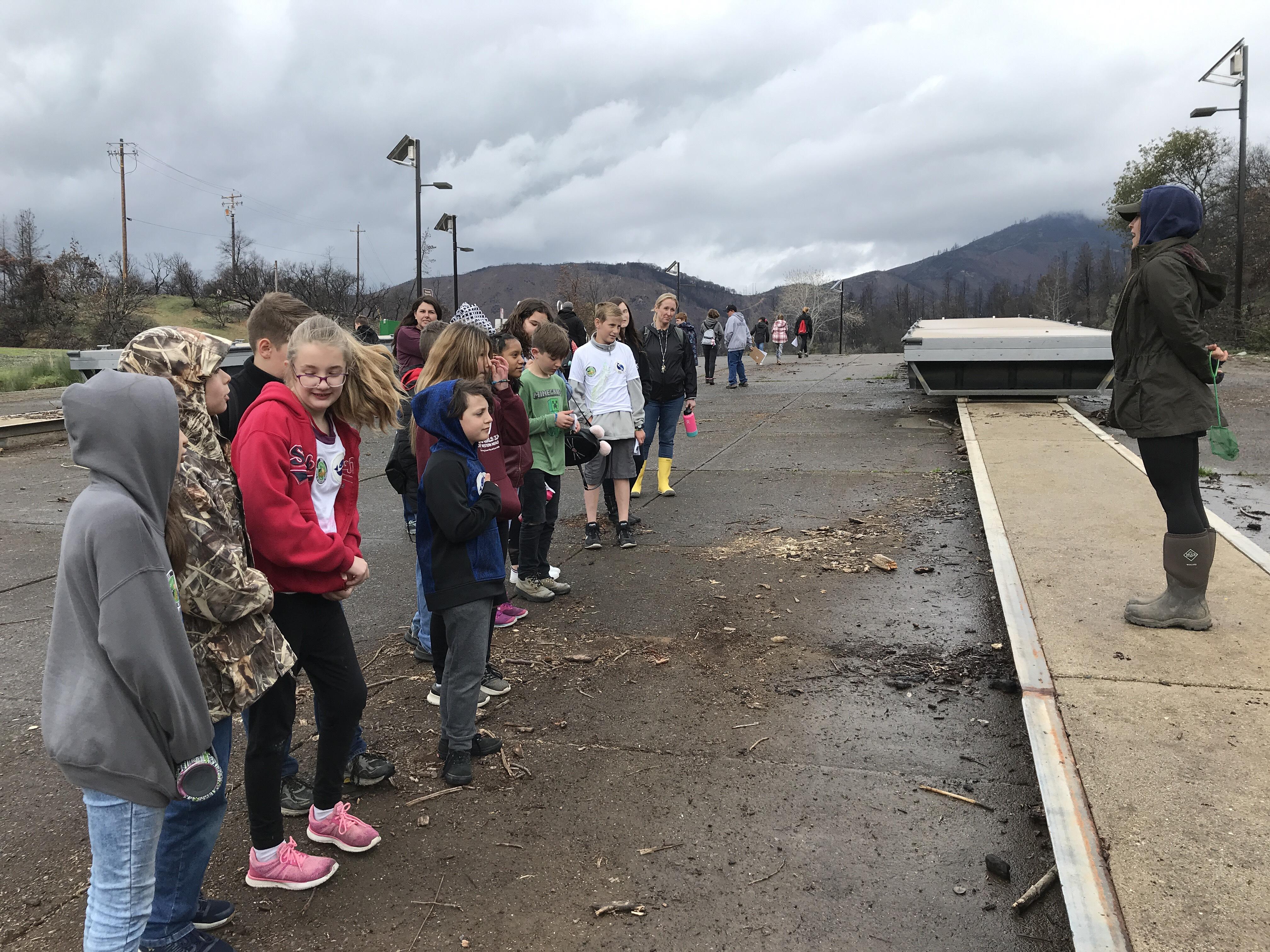 Trout Release