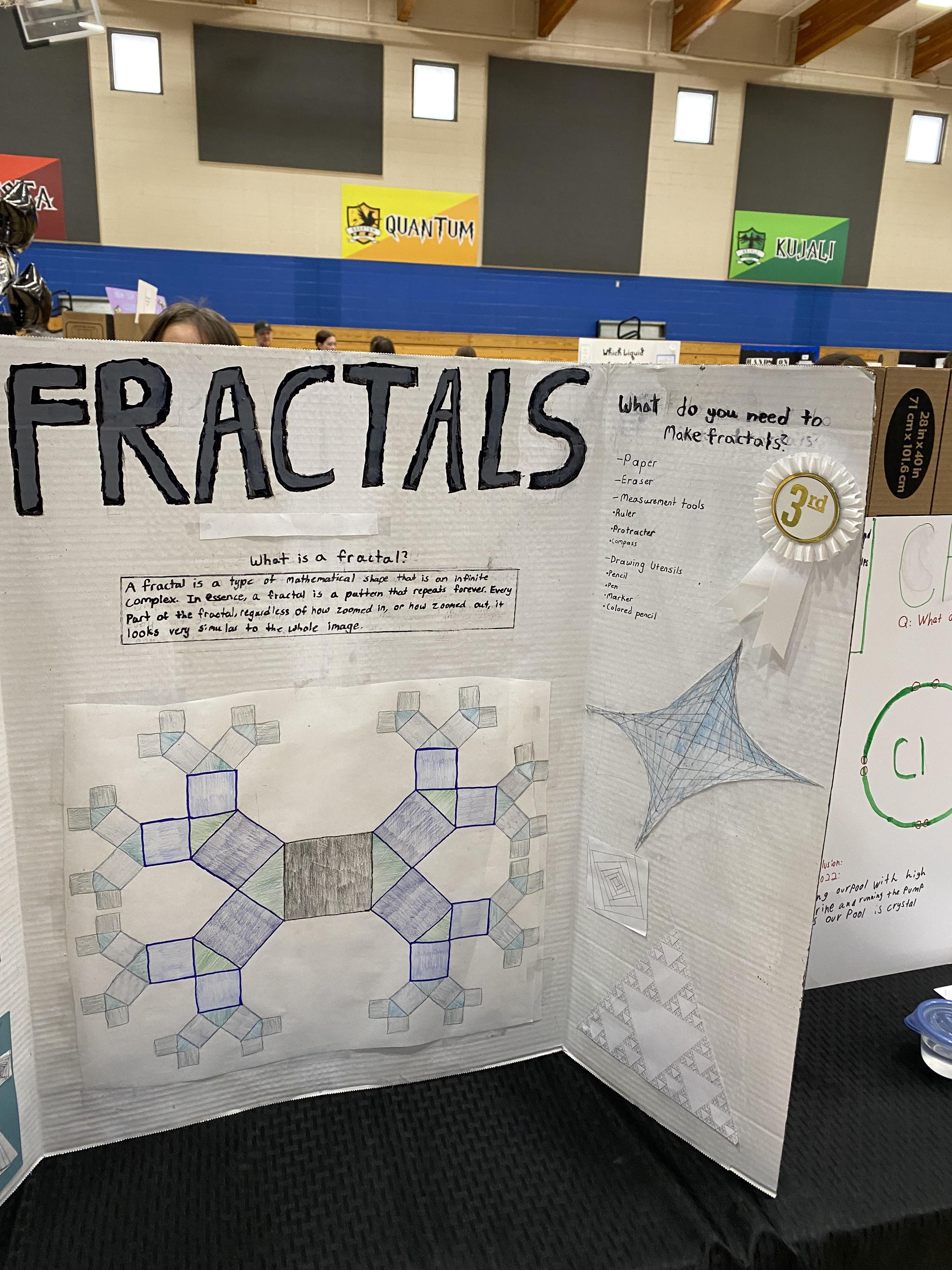 Science Fair Winner