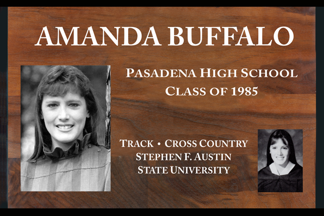 This is the image for the news article titled AMANDA BUFFALO