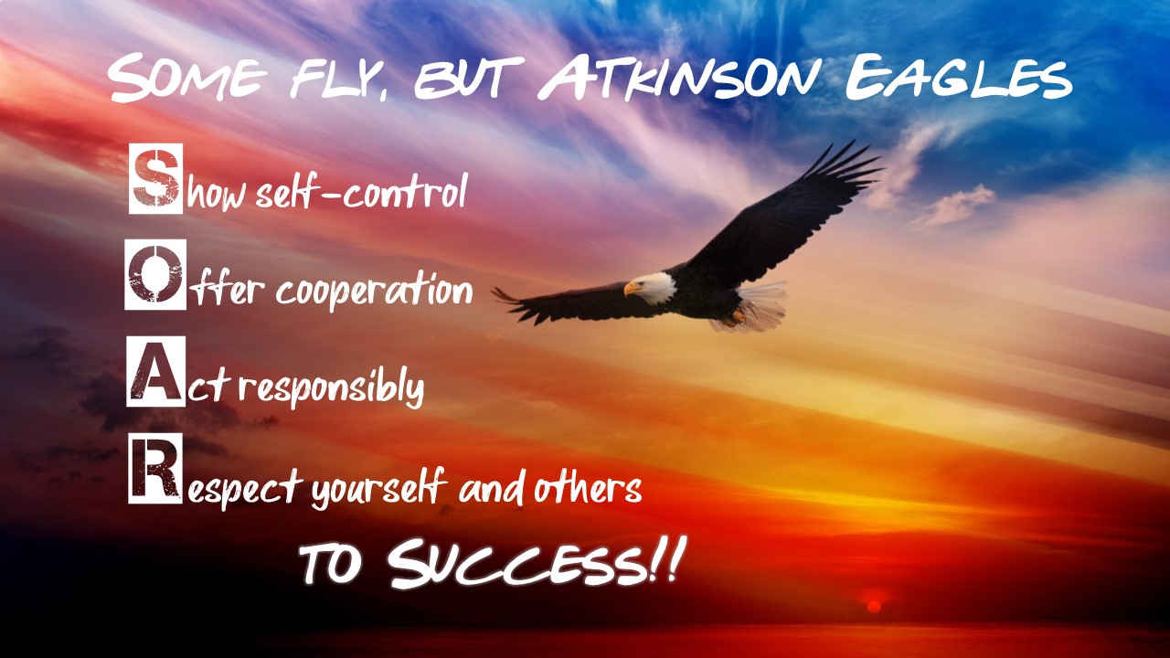 Soar to success