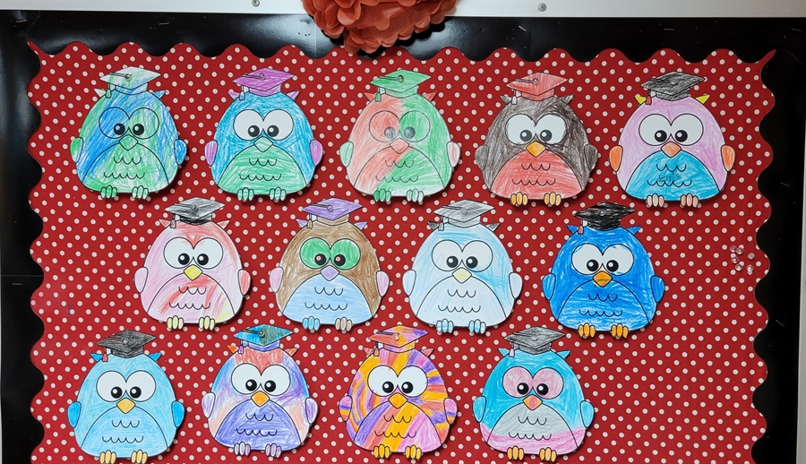 PreK Owls