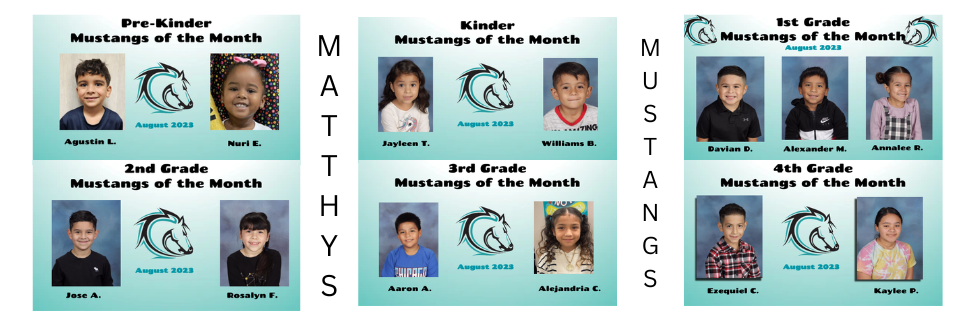 Mustang of the Month August