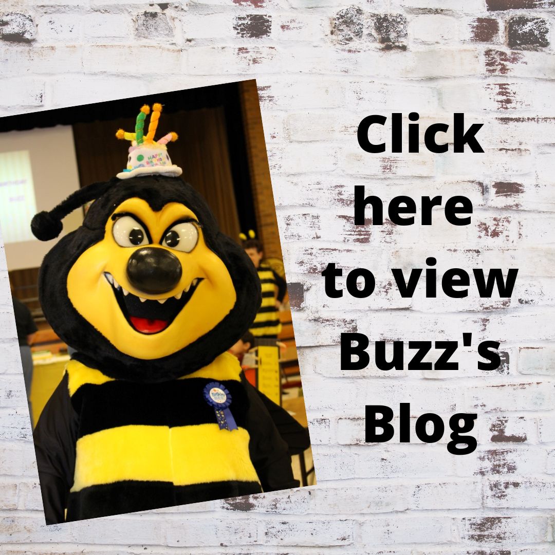 Link to Buzz's blog