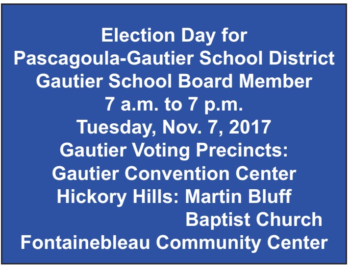School Board Election Flyer
