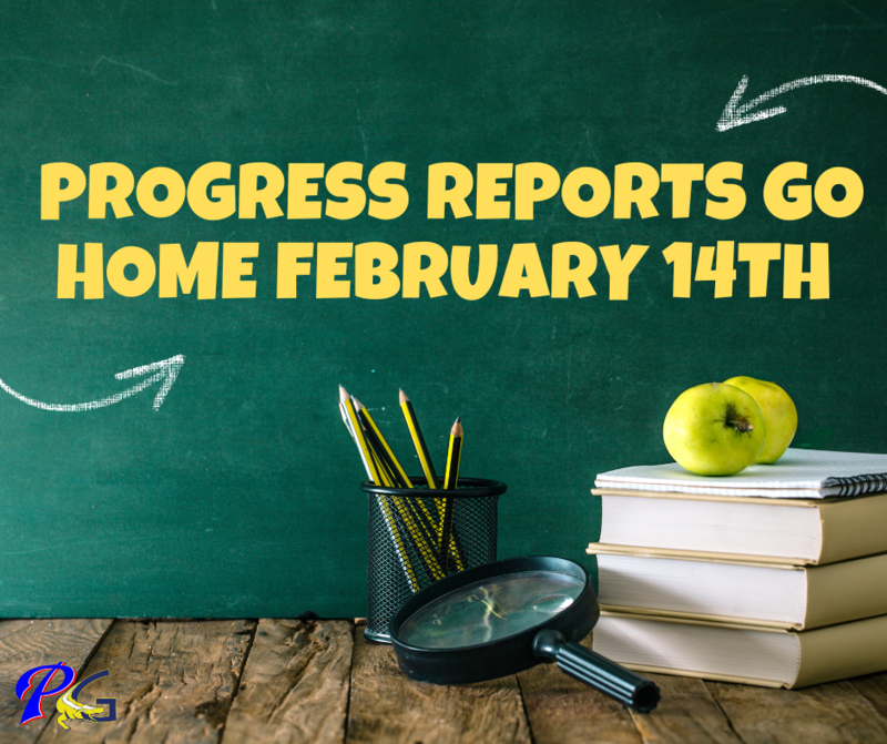 progress reports