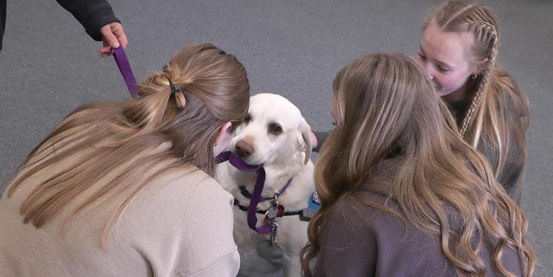Birdie in the Wellspace. Photo by Chloe Van Pelt