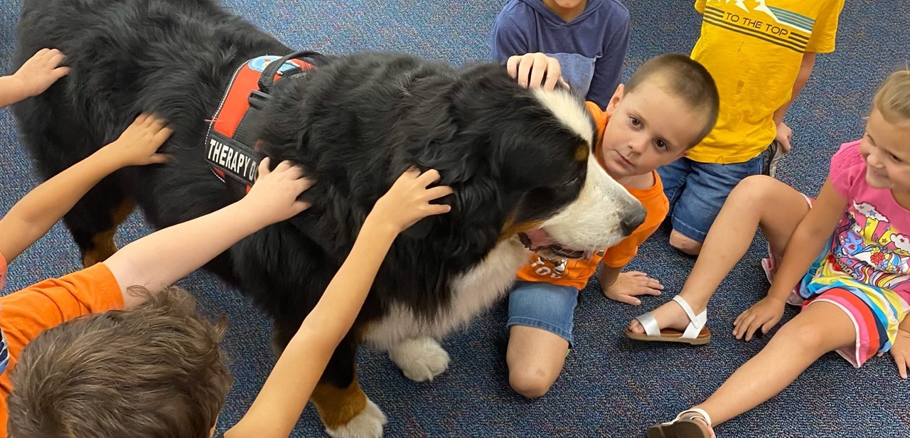 Service dog Boomer visiting a classroom