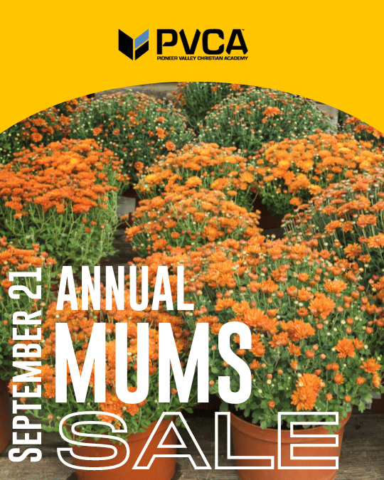 Annual Mums Sale