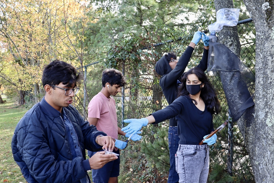 students handing lantern fly traps