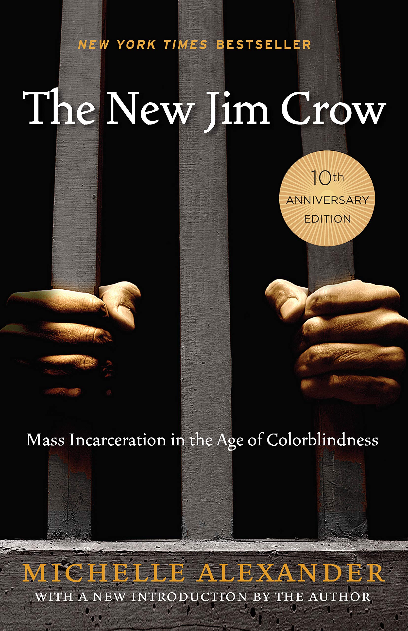 Image result for new jim crow