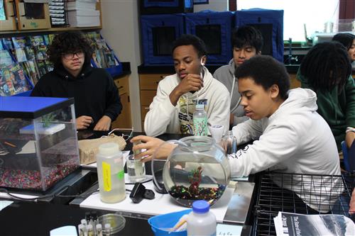 Students test for solids in water during a lesson on pollution
