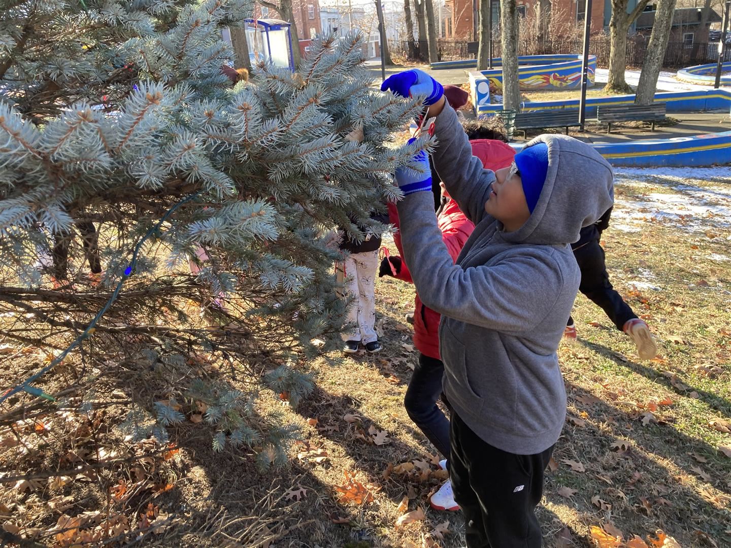 A student hangs an ornament on a tree