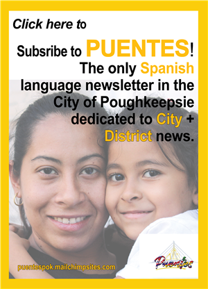 Puentes subscription ad