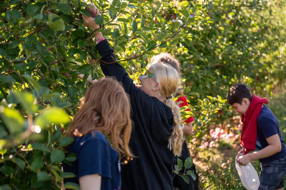  Students at Pulaski Middle-High School picking apples at Behling Orchards.