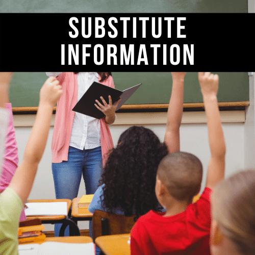 Substitute Information