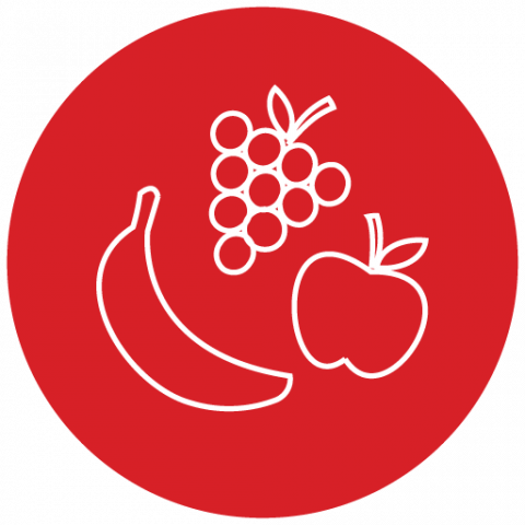Fruit icon