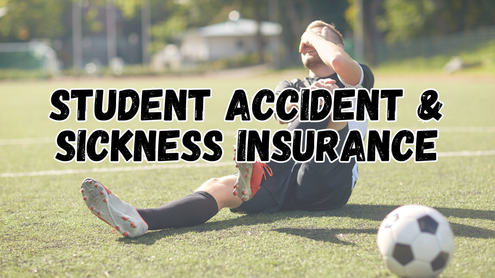 decorative image "Student Accident & Sickness Insurance