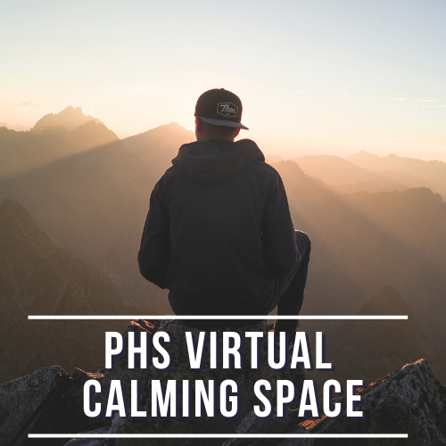 PHS Virtual Calming Space