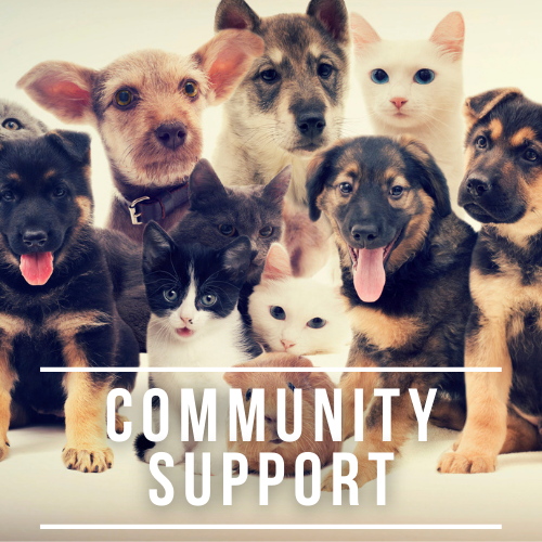 community support