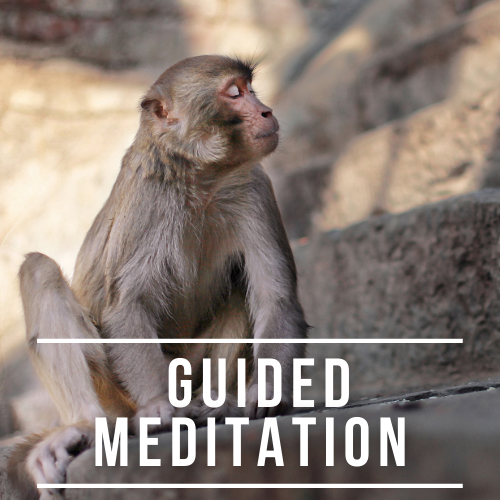 guided meditation