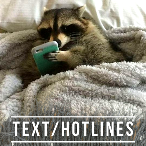 text/hotlines