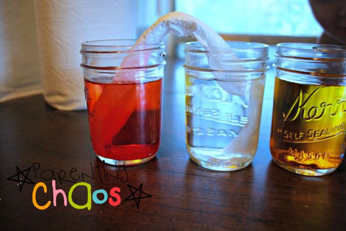 Crawling Colors! Color Mixing Science Experiment: Fold a Paper Towel and Dip Each End into Cup