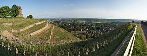 Blick auf Radebeul