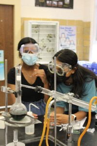 Students working in lab