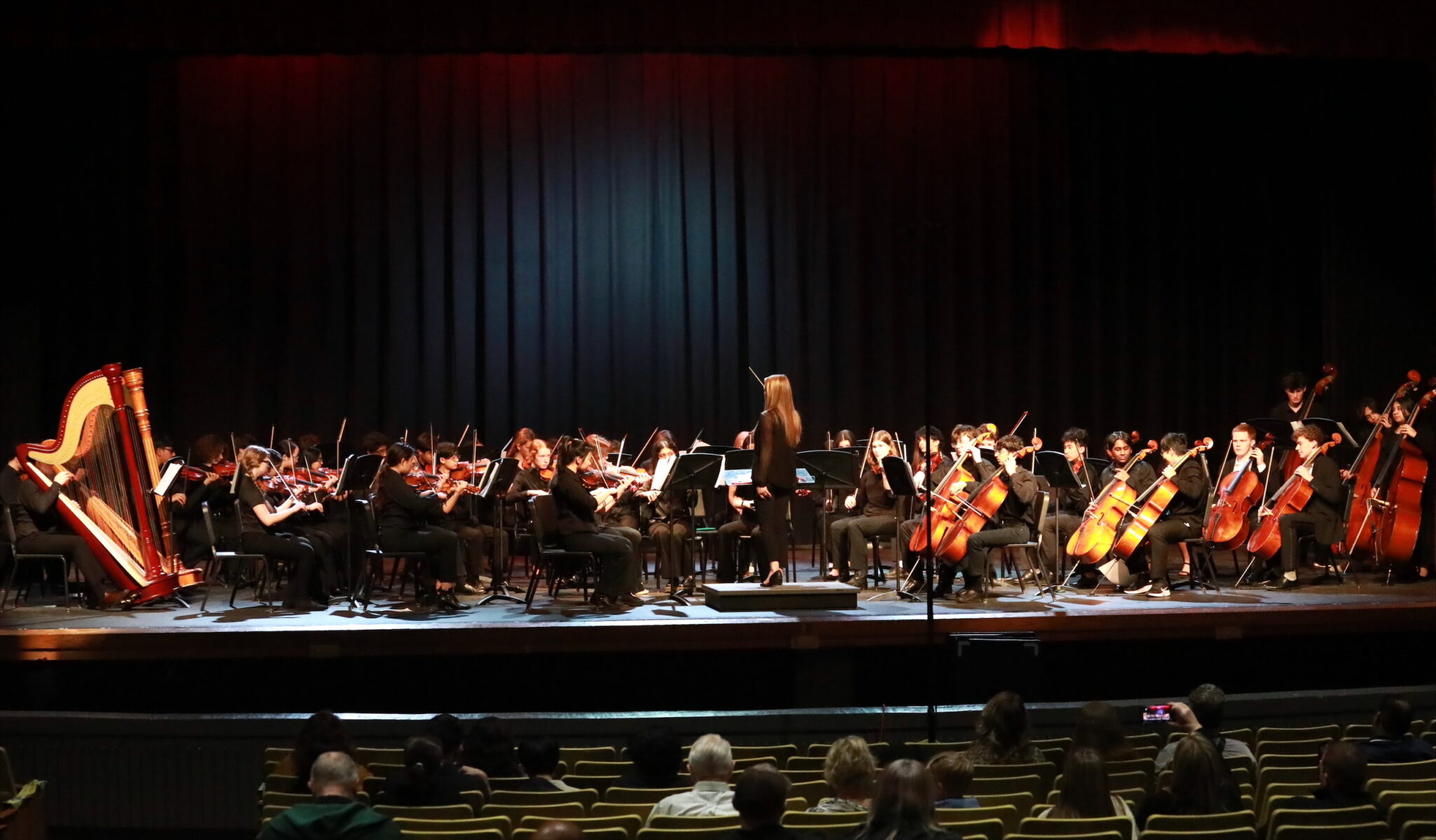 Orchestra Assessment Mar 2025
