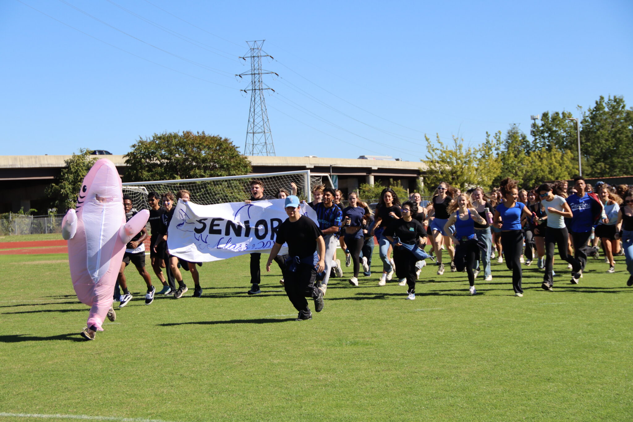 Seniors