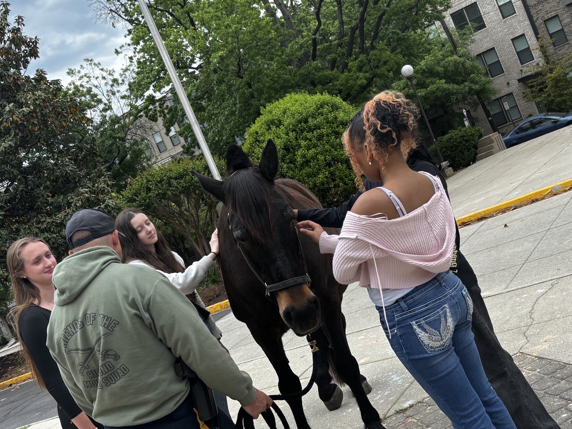 People and horse