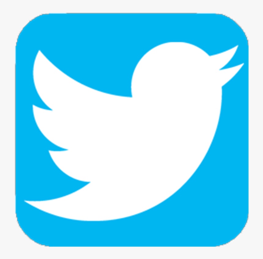 Image - Transparent Twitter Icon Png, Png Download , Transparent Png Image  - PNGitem