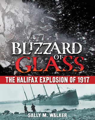 blizzard of glass image