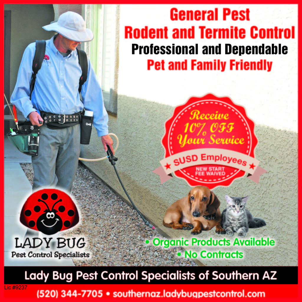 susd-discount-lady-bug