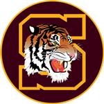 Soldan logo Soldan logo