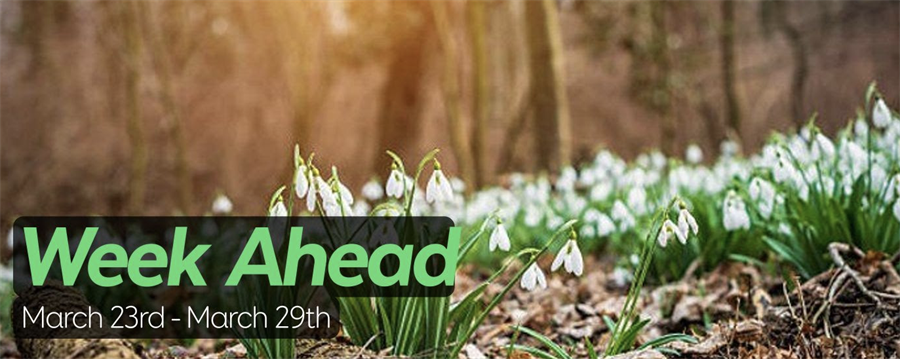 This is the image for the news article titled The Week Ahead 3/23/25