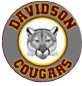 Davidson Middle School  Logo