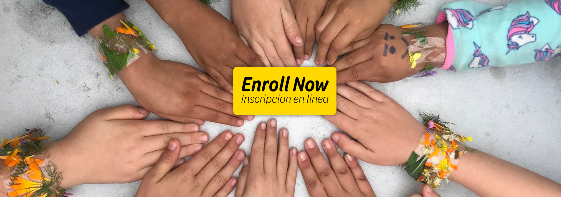 Enroll Now Park Side