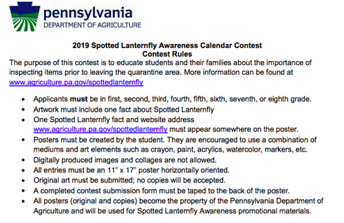 Spotted Laternfly Spotted Laternfly