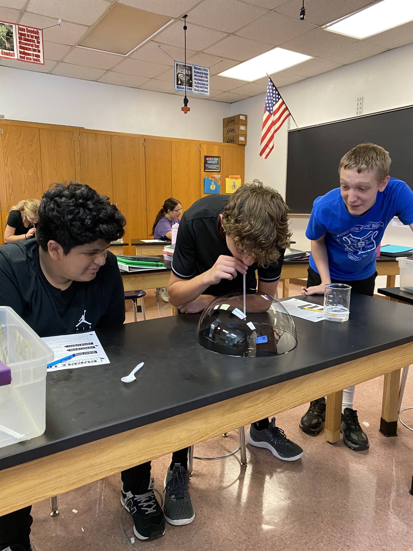 2024 Middle School House Roll-out picnic at Buhl Park