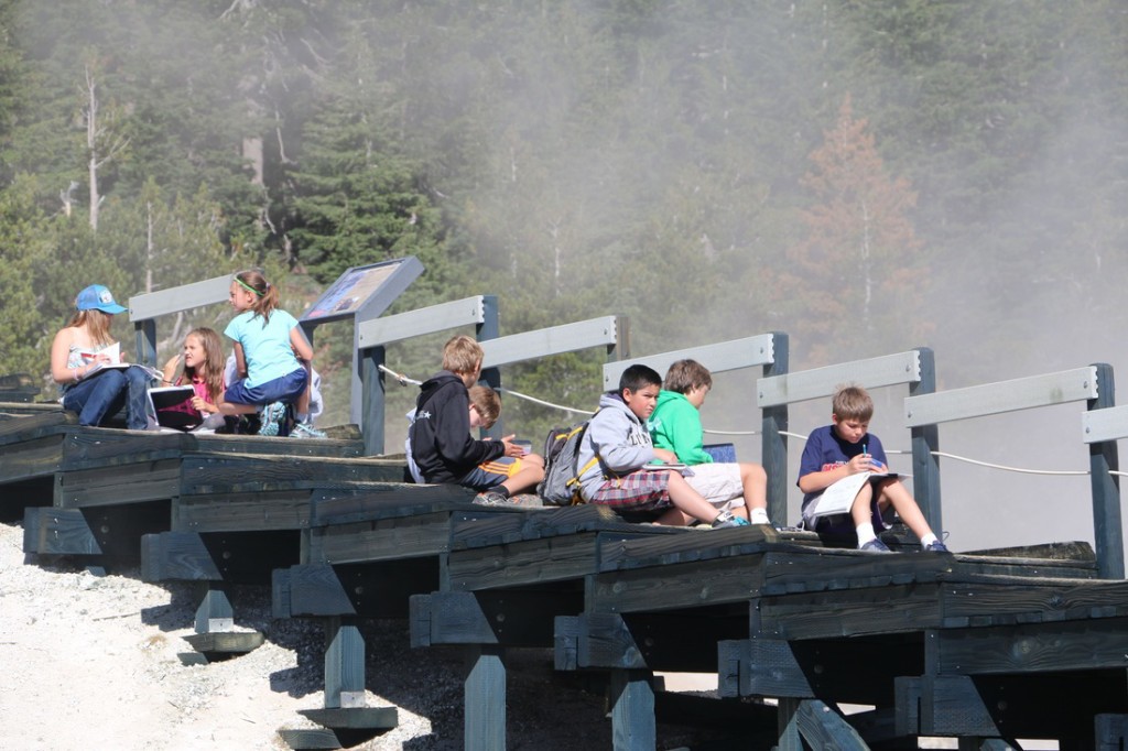 2990772_orig-1024x682