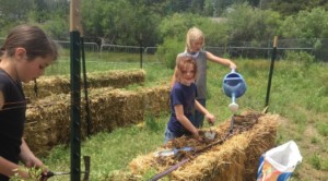 IMG_0673-e1433957928135-672x372