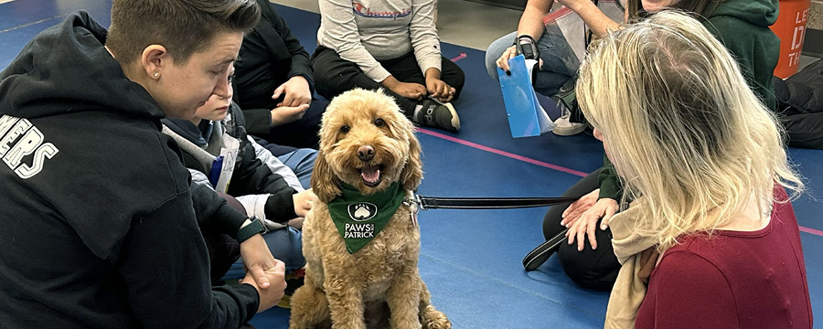 Middleton teachers and students visit with dogs from Paws for Patrick