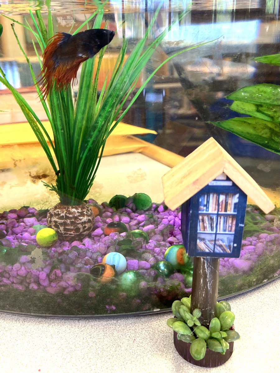 Photo of J.Fletcher the fish and her Little Free Library