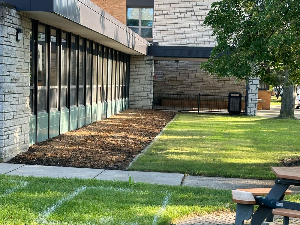 Photo of school landscaping