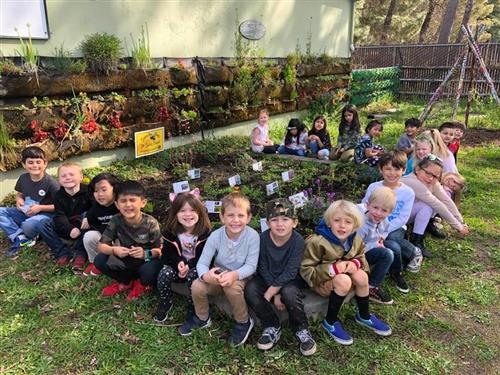 Our Class Pollinator Garden 