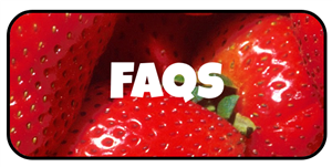 faqs 