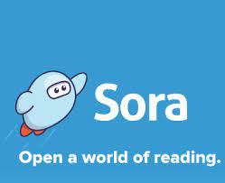 Sora app