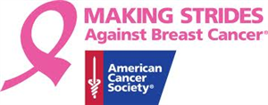 Making Strides Against Breast Cancer Logo 