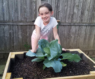 elementary girl poses with her huge cabbage